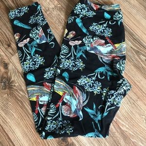 LulaRoe OS Leggings